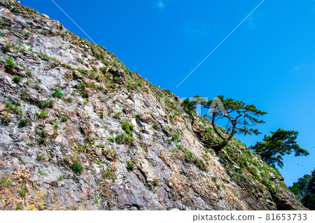 三陸福光國立公園 Michinoku Shiokaze Trail Goishi Beach 松繩岩松 81653733