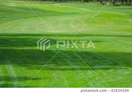 Golf Course Texture