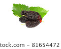 five organic Mulberry fruits with green leaves isolated on white background. 81654472
