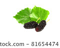 organic Mulberry fruits with green leaves isolated on white background 81654474