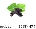 organic Mulberry fruits with green leaves isolated on white background. 81654475