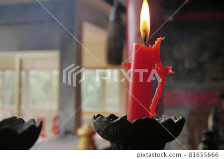 芝山巖惠濟宮 81655666