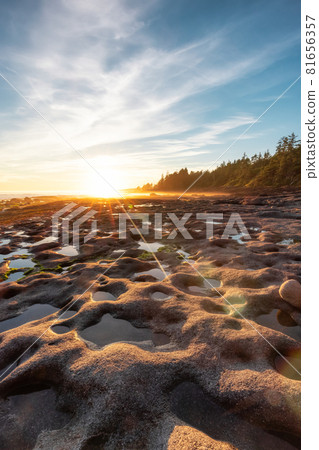 Botanical Beach on the West Coast of Pacific Ocean. Botanical Beach on the West Coast of Pacific Ocean. 81656357