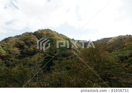 Tottori Walking in the Four Seasons Fall in the Ebara Plateau Tottori Walking in the Four Seasons Fall in the Ebara Plateau 81656731