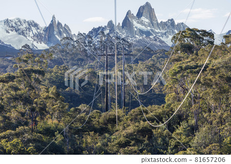 Photograph of transmission lines running across a large forest 81657206