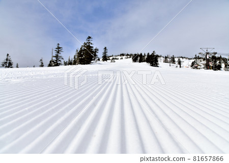 Yokoteyama Shibutoge Ski Resort / Shibutoge Ski Resort [2021.3] 81657866