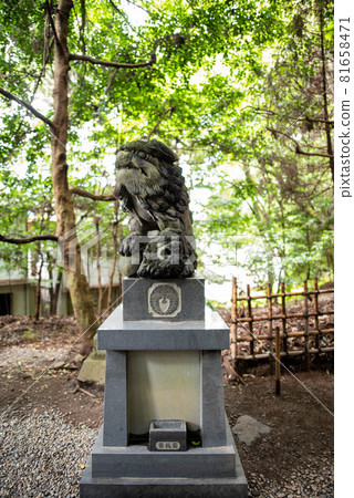 Nishiusuki District (Takachiho Town) Takachiho Shrine Nishiusuki District (Takachiho Town) Takachiho Shrine 81658471