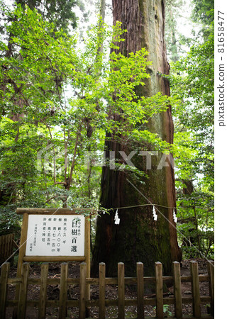 Nishiusuki District (Takachiho Town) Takachiho Shrine Nishiusuki District (Takachiho Town) Takachiho Shrine 81658477