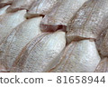 Freshly caught small sea bream, filleted into three pieces Freshly caught small sea bream, filleted into three pieces 81658944