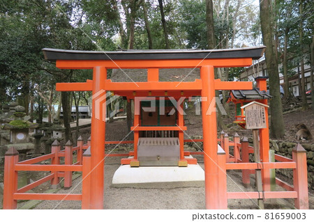 Shiono神社 81659003