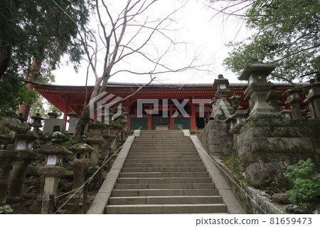 Kasuga Taisha 81659473