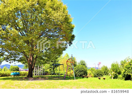 富田林市立運動公園 81659948