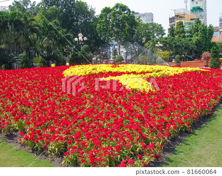 Ho Chi Minh City, Vietnam - flowers in the garden 81660064