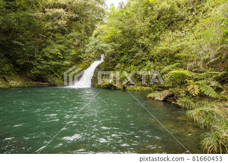 Amami Oshima scenery Materiya Falls Amami tourist attraction World heritage forest 81660453