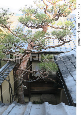 Yomachi grid house 81660475