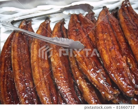 Hiraki of mackerel-Opening of horse mackerel Hiraki of mackerel-Opening of horse mackerel 81660737