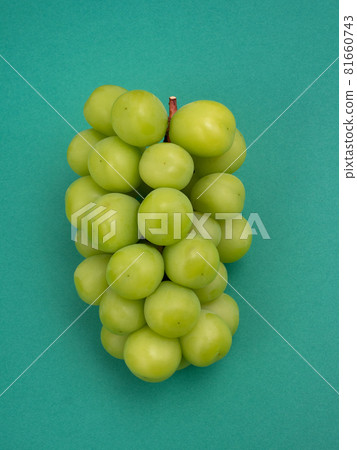 GrapeShine Muscat 81660743