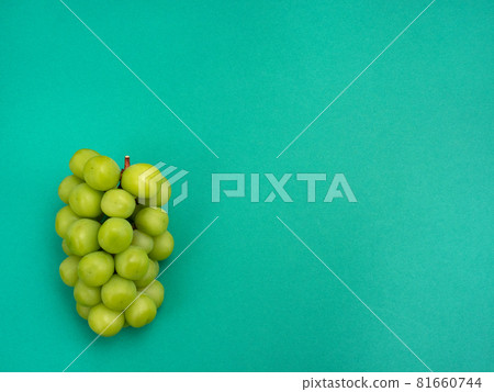GrapeShine Muscat GrapeShine Muscat 81660744
