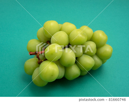 GrapeShine Muscat GrapeShine Muscat 81660746
