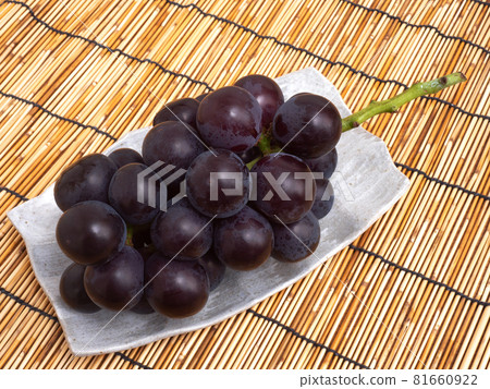 Grape Fujiminori 81660922