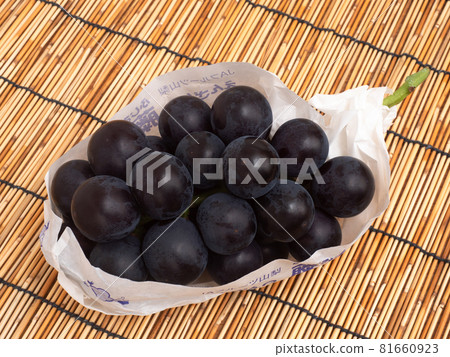 Grape Fujiminori Grape Fujiminori 81660923