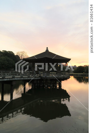 漂浮在蒼鷺池塘的Ukifumodo 81661434