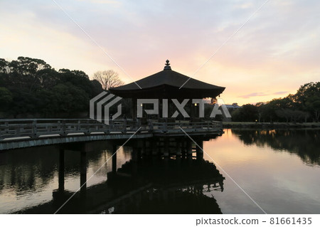 漂浮在蒼鷺池塘的Ukifumodo 81661435