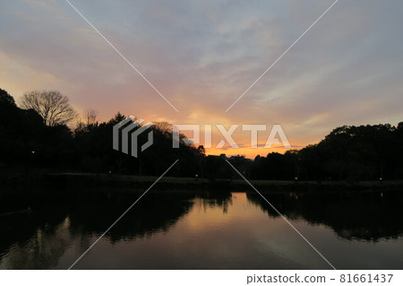 佐木池的夜景 81661437