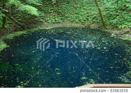 [Aomori / Shirakami Mountains] Juniko Aoike 81661638