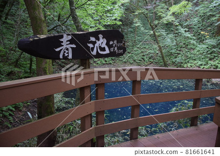 [Aomori / Shirakami Mountains] Juniko Aoike 81661641