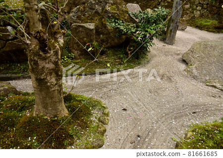 Hohsenin garden 81661685