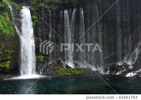 Fujinomiya Shiraito Falls Fujinomiya Shiraito Falls 81661763