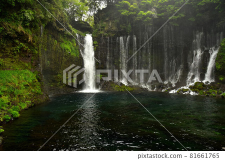 Fujinomiya Shiraito Falls Fujinomiya Shiraito Falls 81661765