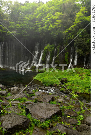 Fujinomiya Shiraito Falls Fujinomiya Shiraito Falls 81661766