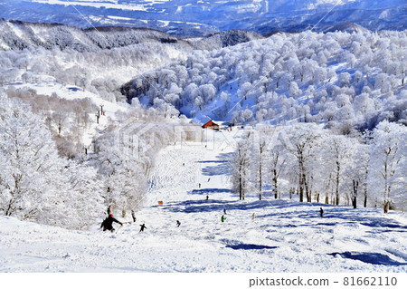 野澤溫泉滑雪場山美子坡（長野縣野澤溫泉村）[2021.2] 81662110