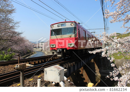 犬山櫻花和火車 81662234