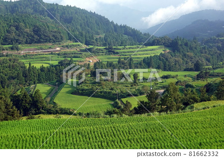 Yoshinobu Rice Terraces, which has been selected as one of the 100 best rice terraces Yoshinobu Rice Terraces, which has been selected as one of the 100 best rice terraces 81662332