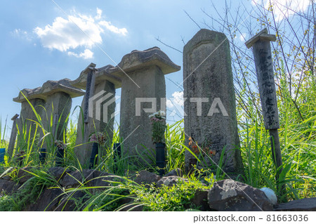 Kujoji Temple Kujoji Temple 81663036