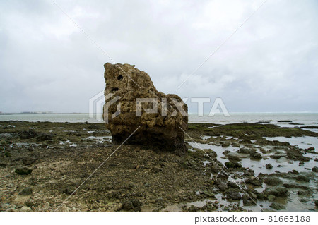 岸邊出現了一塊大石頭 81663188