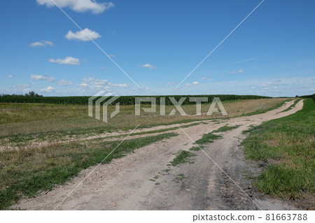 Long dirt road in a field under a blue sky. Scenery. Long dirt road in a field under a blue sky. Scenery. 81663788