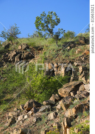 A rocky slope of an abandoned granite quarry in the Nikolaev region of Ukraine on a hot summer day. Sharp stones overgrown with sparse vegetation. Blue cloudless sky over the cliffs. A rocky slope of an abandoned granite quarry in the Nikolaev region of Ukraine on a hot summer day. Sharp stones overgrown with sparse vegetation. Blue cloudless sky over the cliffs. 81663821