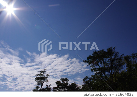 天空和太陽和雲彩 81664022