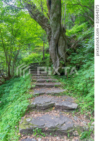 Amidaka Waterfall Amidaka Waterfall 81664875