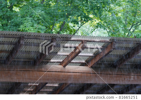 Summer rain 81665251