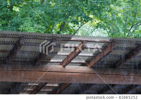 夏天的雨 夏天的雨 81665252