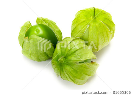 Tomatillo for Mexican food salsa verde Tomatillo for Mexican food salsa verde 81665306