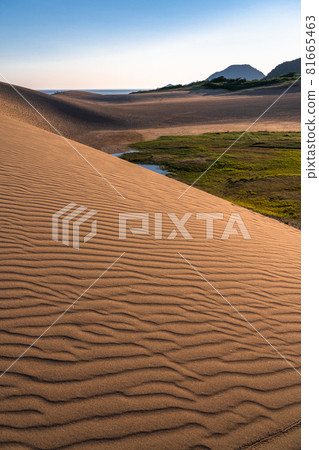 《Tottori Prefecture》 Tottori Sand Dunes / Fumon modeling beauty 《Tottori Prefecture》 Tottori Sand Dunes / Fumon modeling beauty 81665463