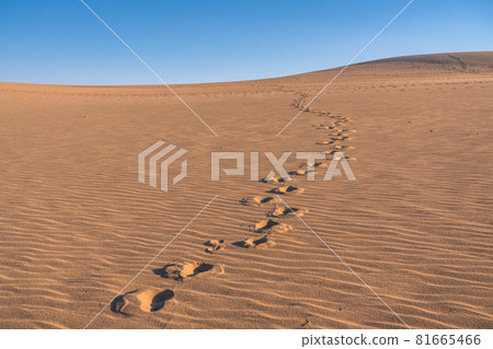 《Tottori Prefecture》 Tottori Sand Dunes / Fumon modeling beauty 81665466