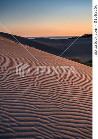 《Tottori Prefecture》 Tottori Sand Dunes / Fumon modeling beauty 81665556