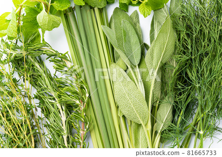 各種草藥 81665733